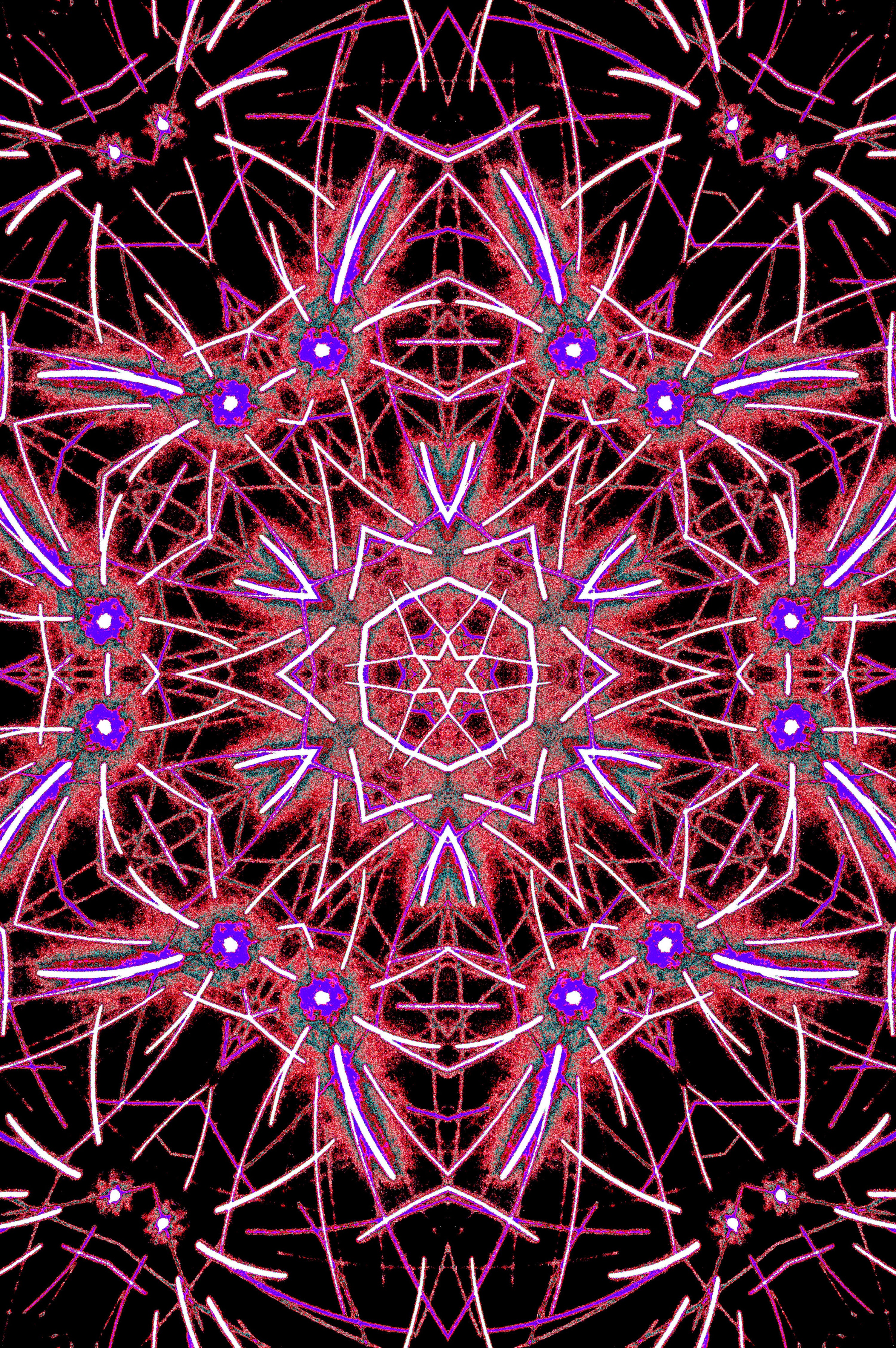 MAGENTA MANDALA — Premium Digitaler