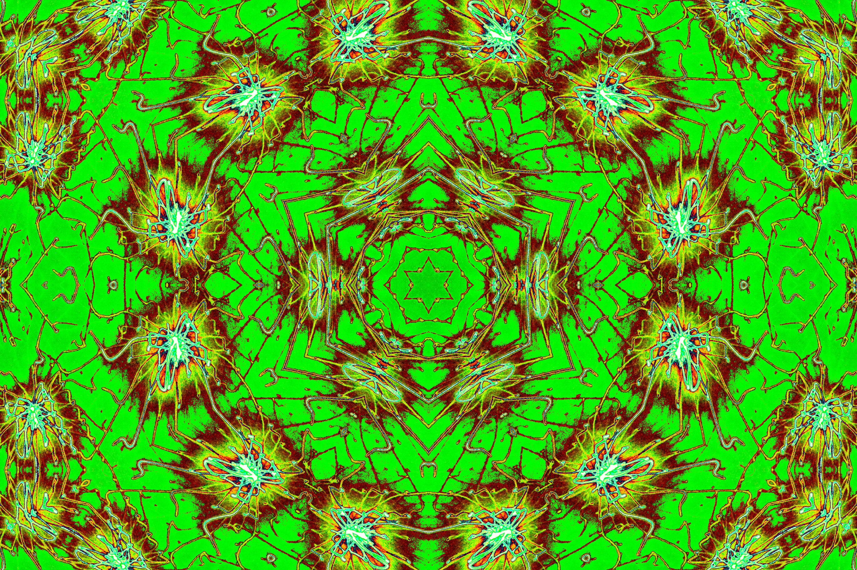 GREEN FRACTAL BLOOM — Digitaler Download