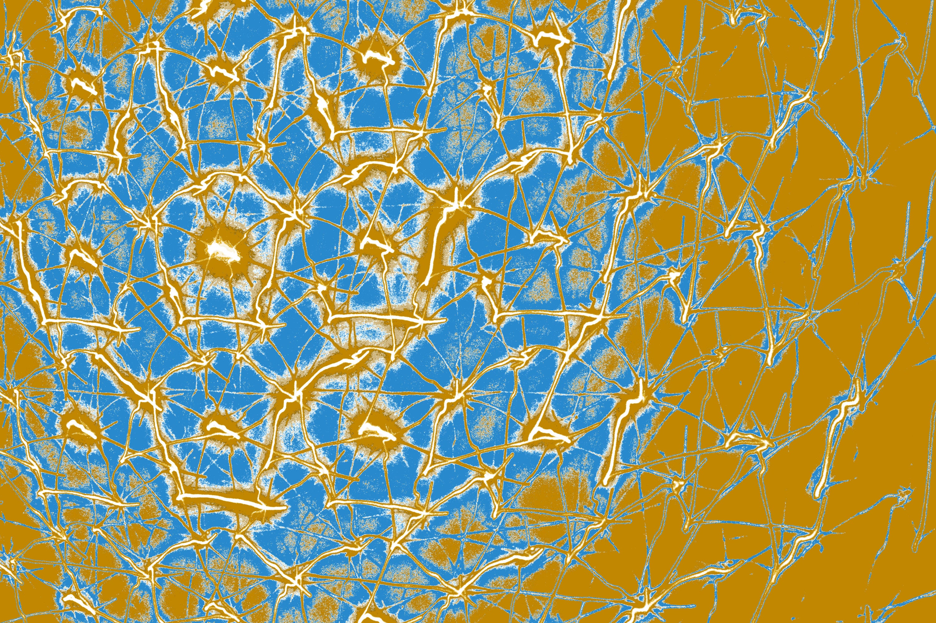 digitale korallen kunst zum download