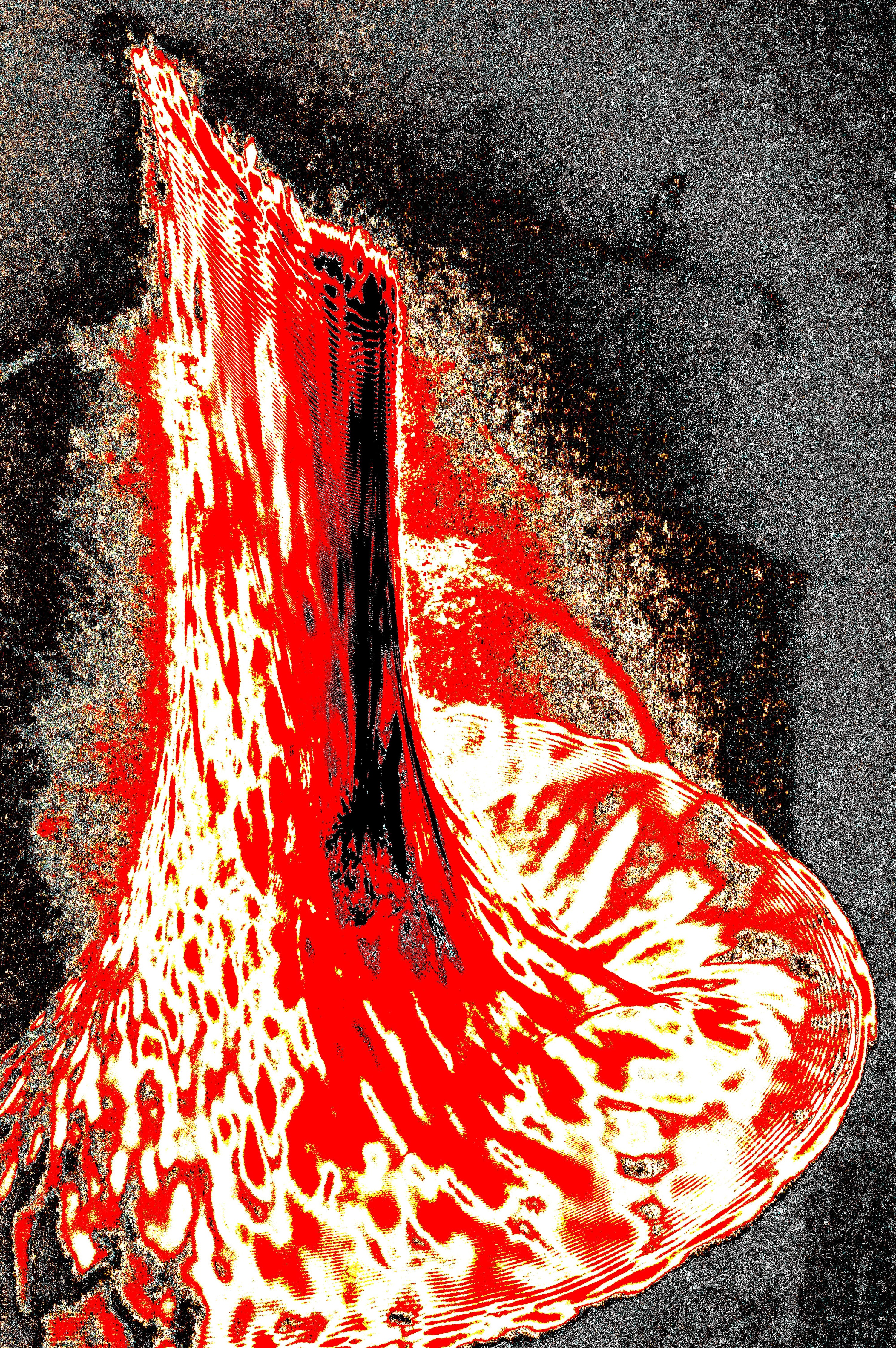 ORGANIC CRIMSON BLOOM — Premium Kunstprint
