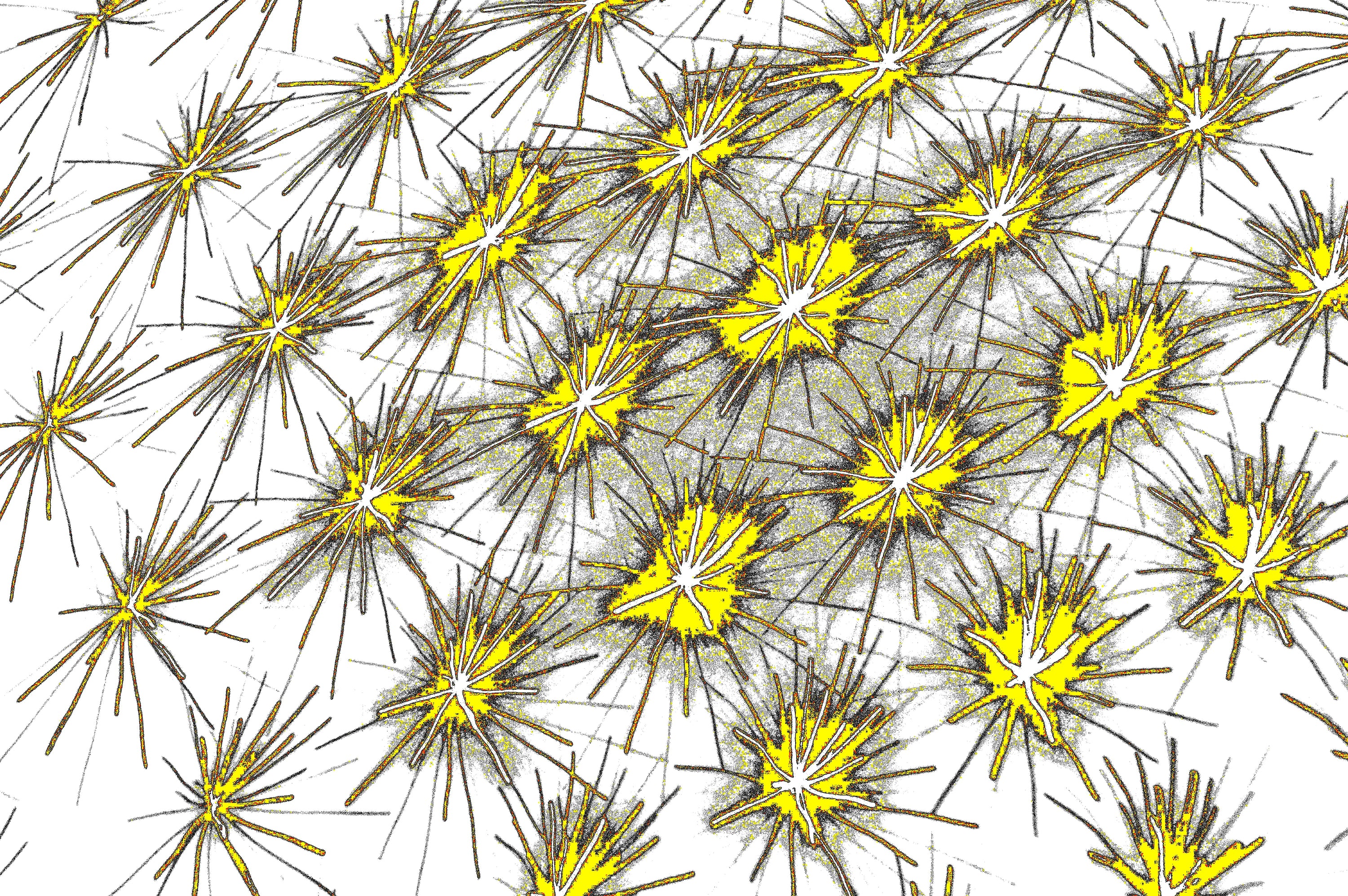 digitale Kunst Mikrokosmos Download