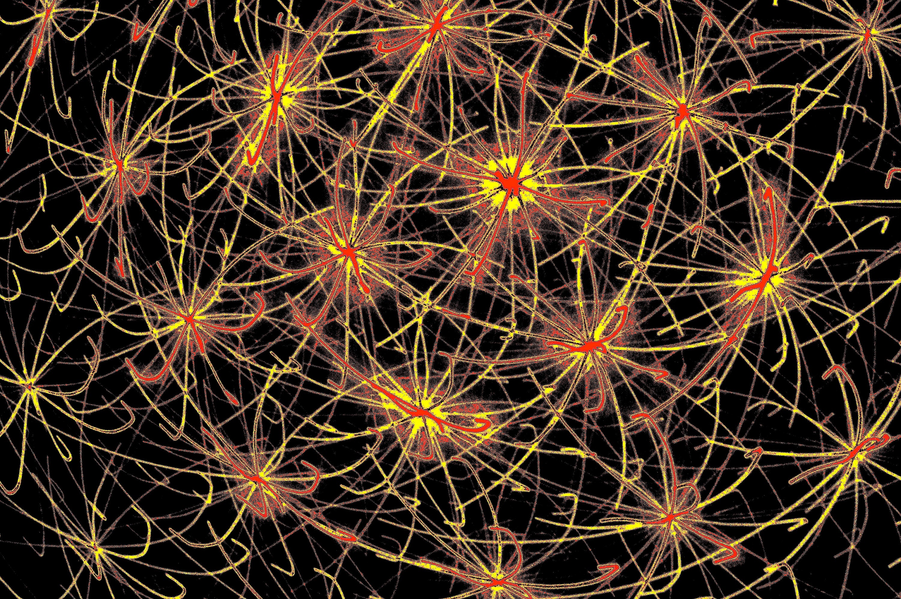 KOSMISCHE NEURONEN — digitaler-download