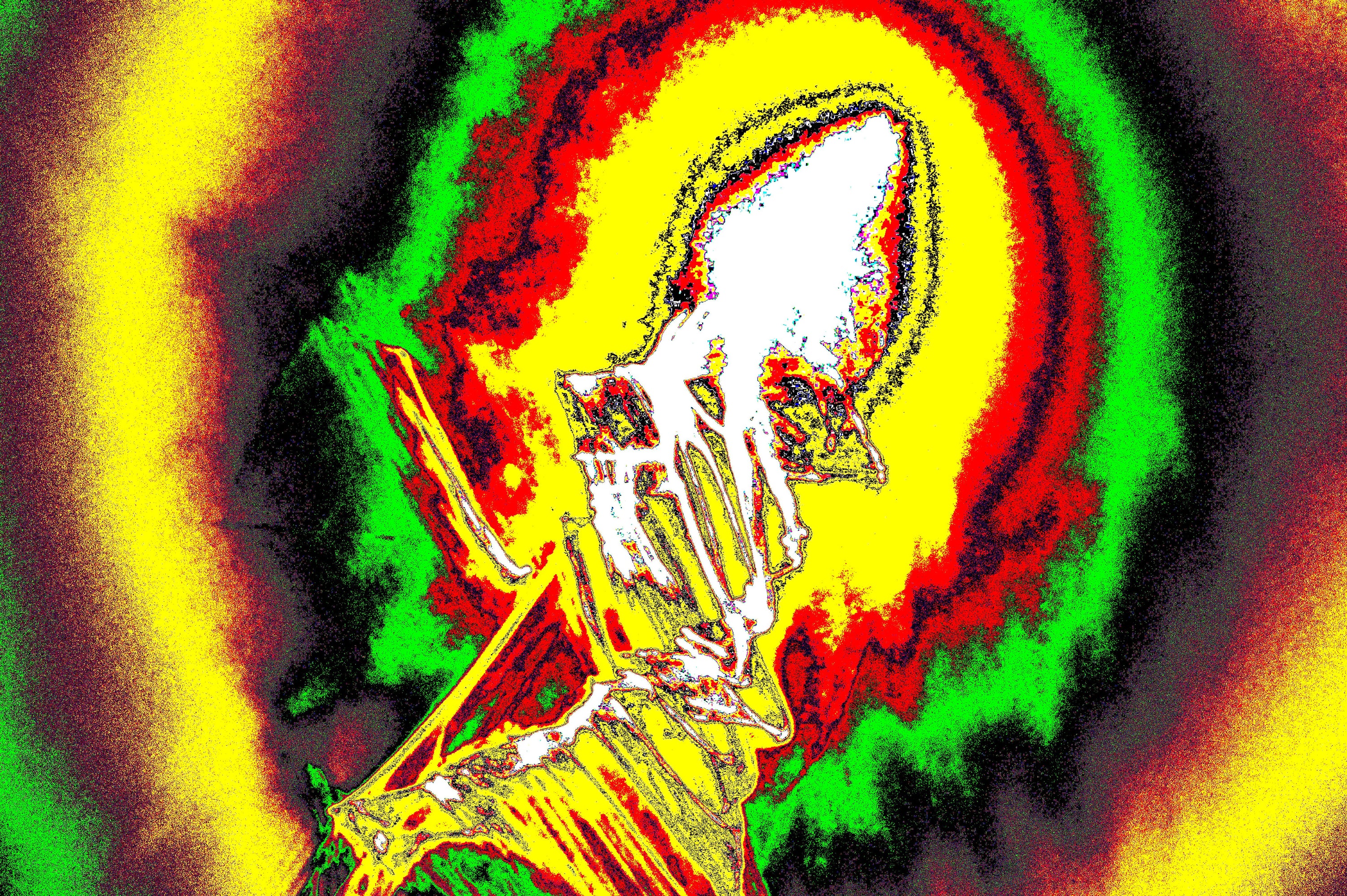 SOLAR SQUID RADIANCE — Digitaler Download