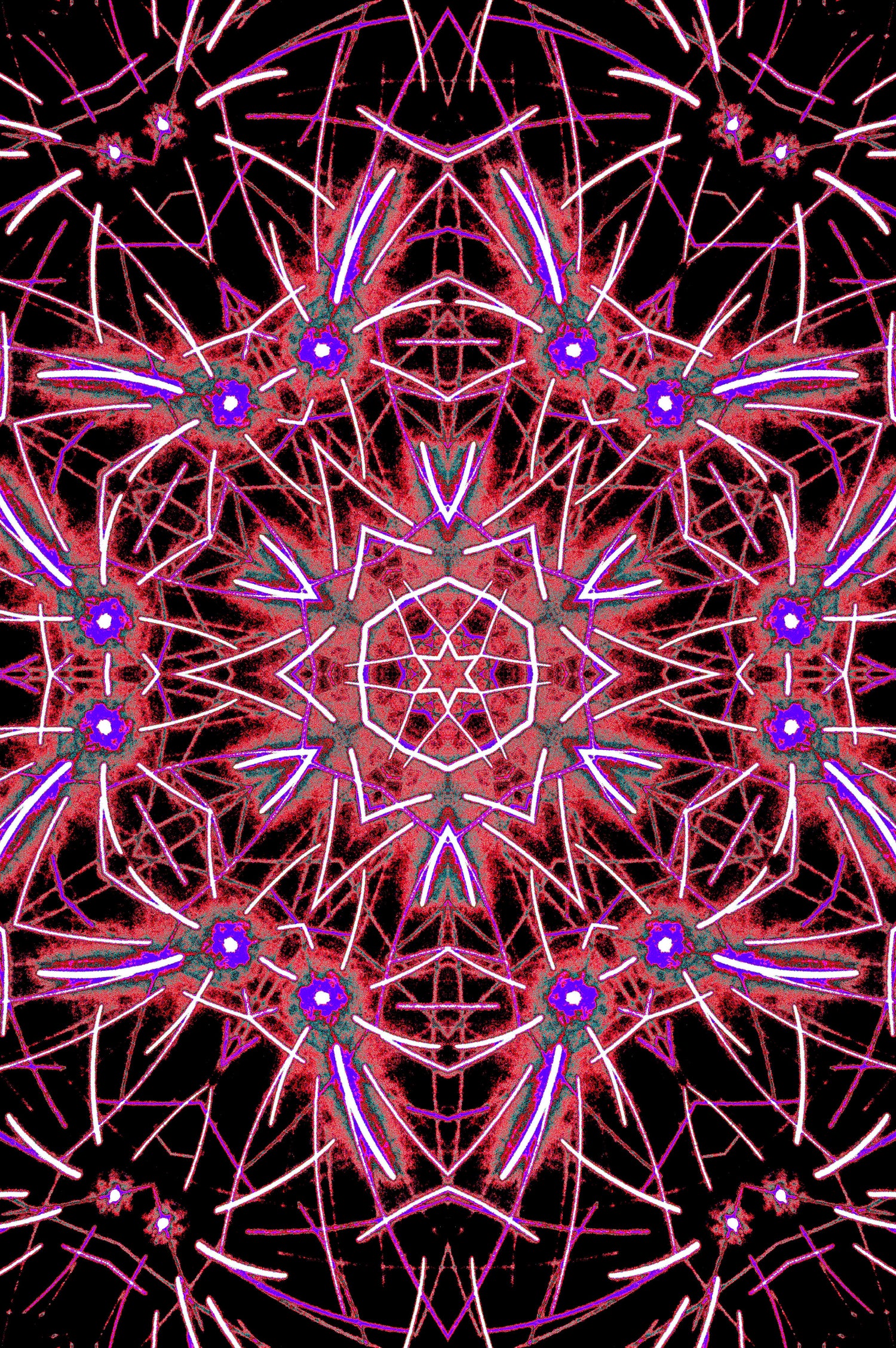 MAGENTA MANDALA — Premium Digitaler