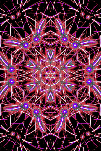 MAGENTA MANDALA — Premium Digitaler