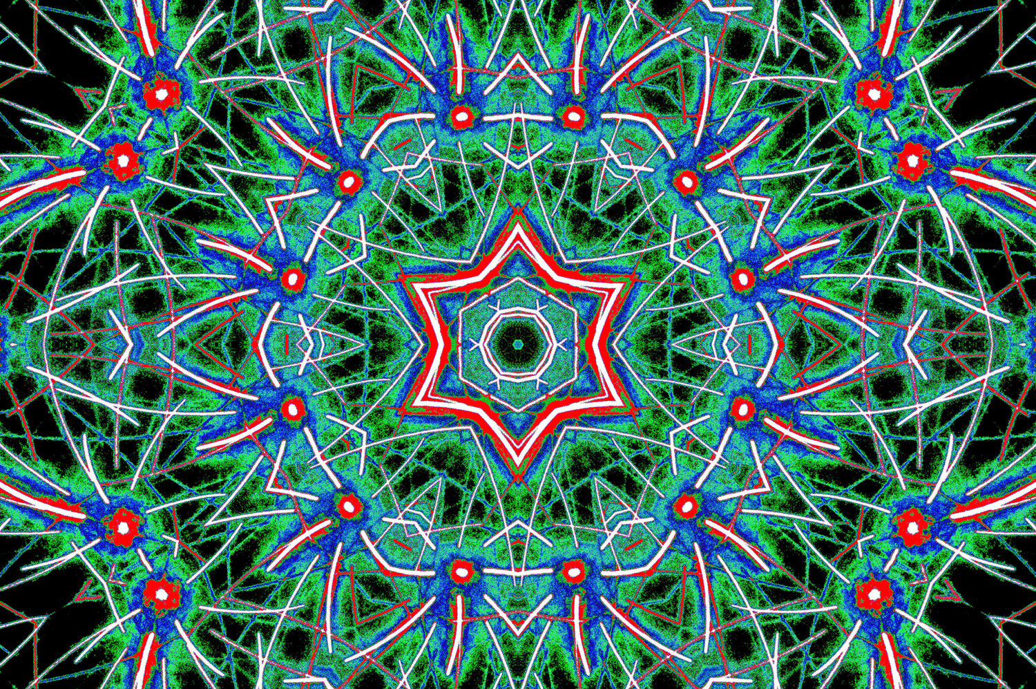 CHROMATIC FLORAL STAR — Premium Digitaler