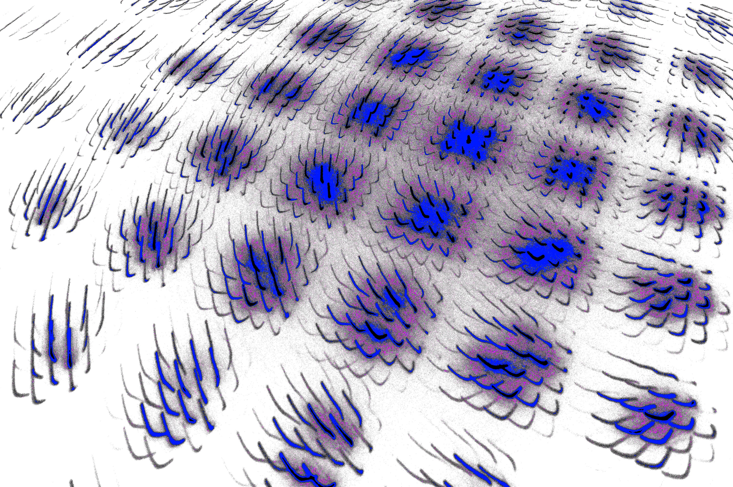 WAVE FIELD — Premium Digitaler Download