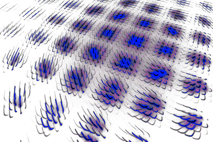 WAVE FIELD — Premium Digitaler Download