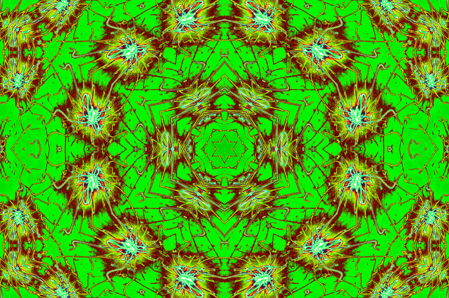 GREEN FRACTAL BLOOM — Digitaler Download