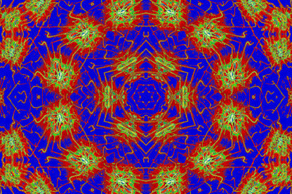CHROMATIC PULSE MANDALA — Premium Kunstprint