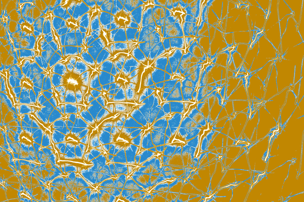 CORAL DRIFT — Premium Kunstprint
