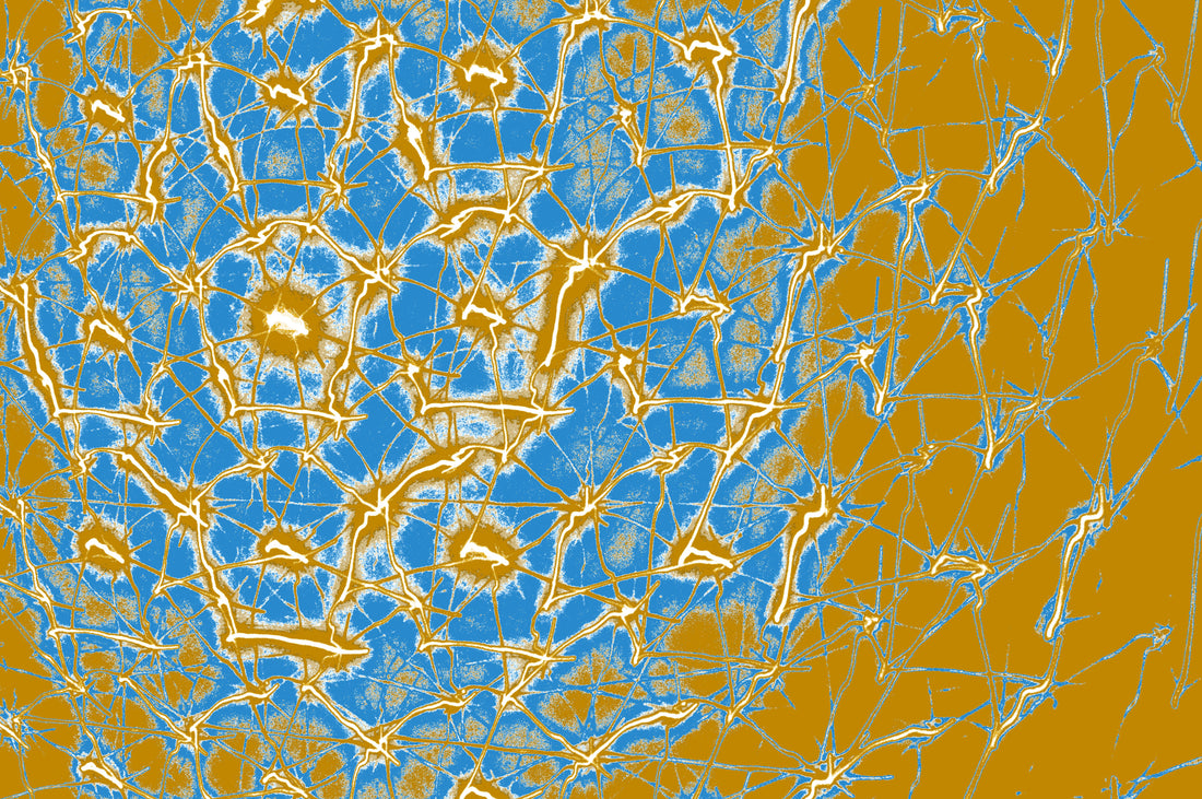 digitale korallen kunst zum download