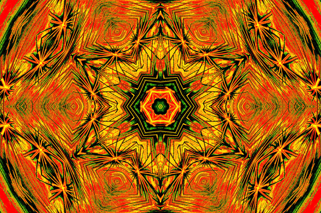 GOLDEN BLOOM — Premium Kunstprint