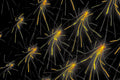 NEURAL IMPULSE  Premium Kunstprint