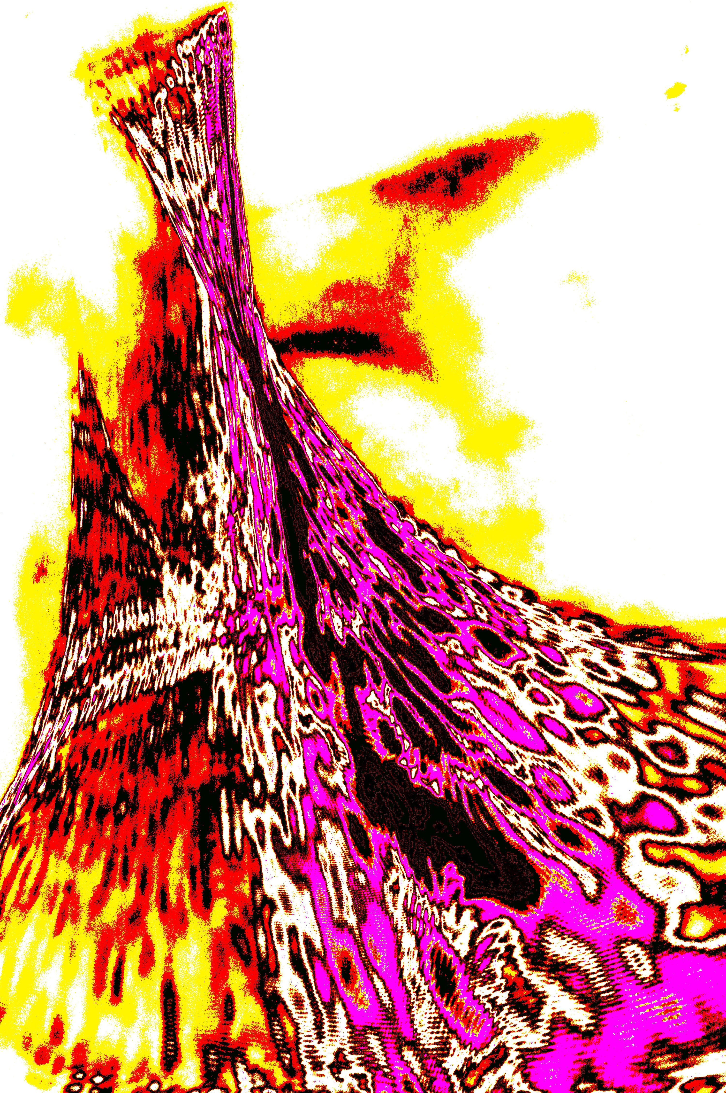 digitale vulkanische kunst download