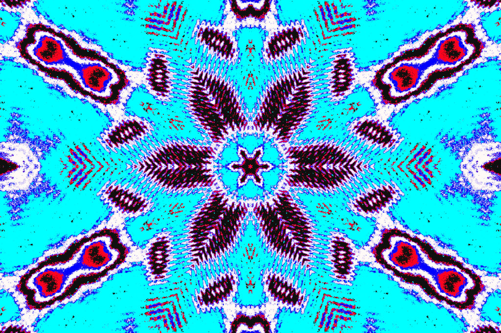 AURORA BLOOM — Symmetry Illusion Print