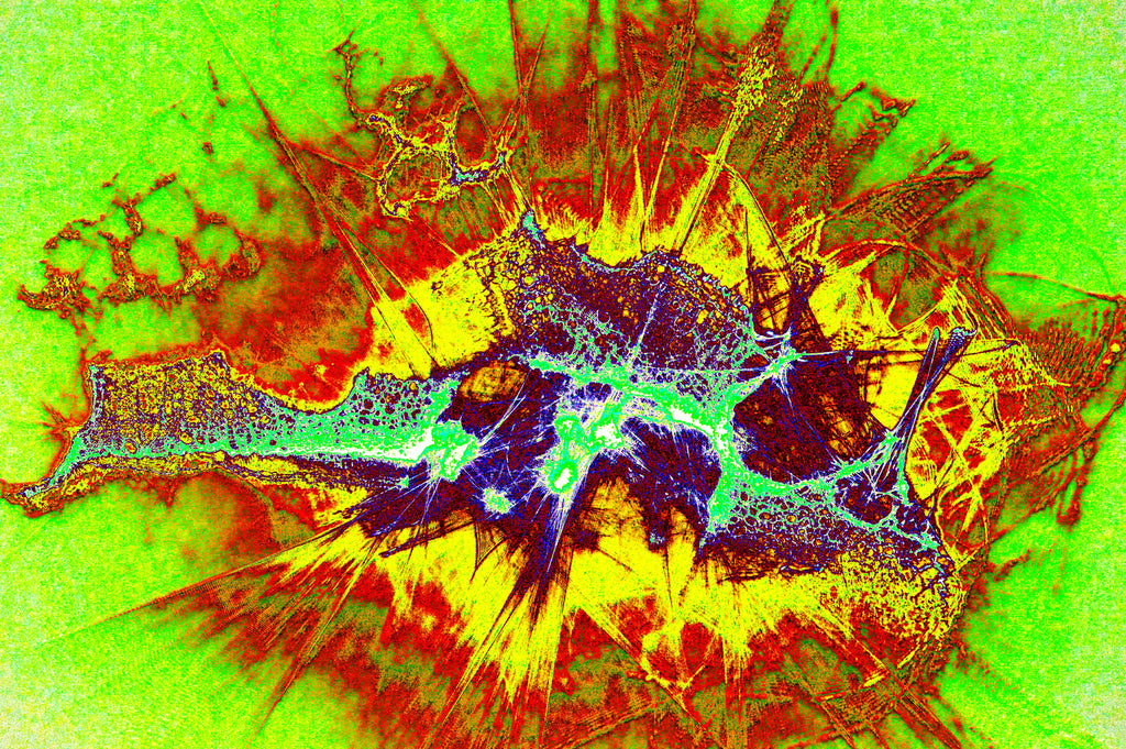 SOLAR BURST — Premium Kunstprint