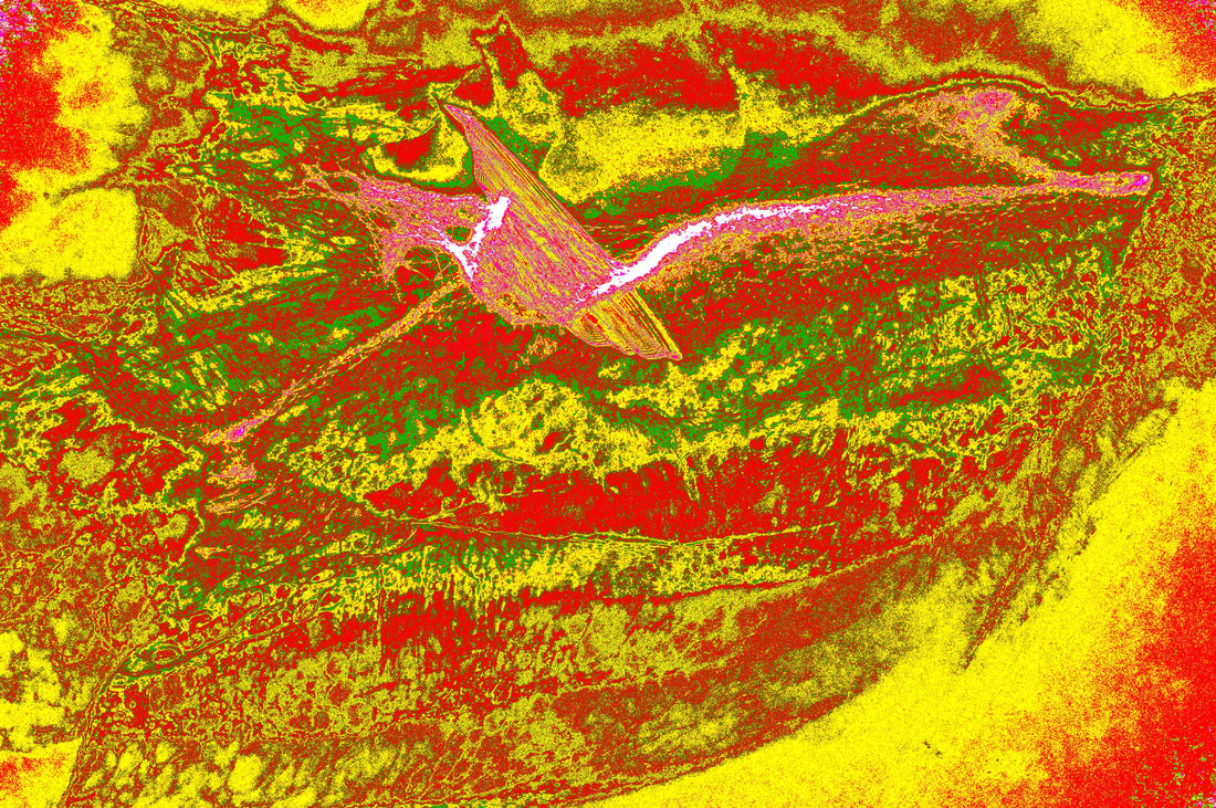 digitale kunst thermale landschaften download