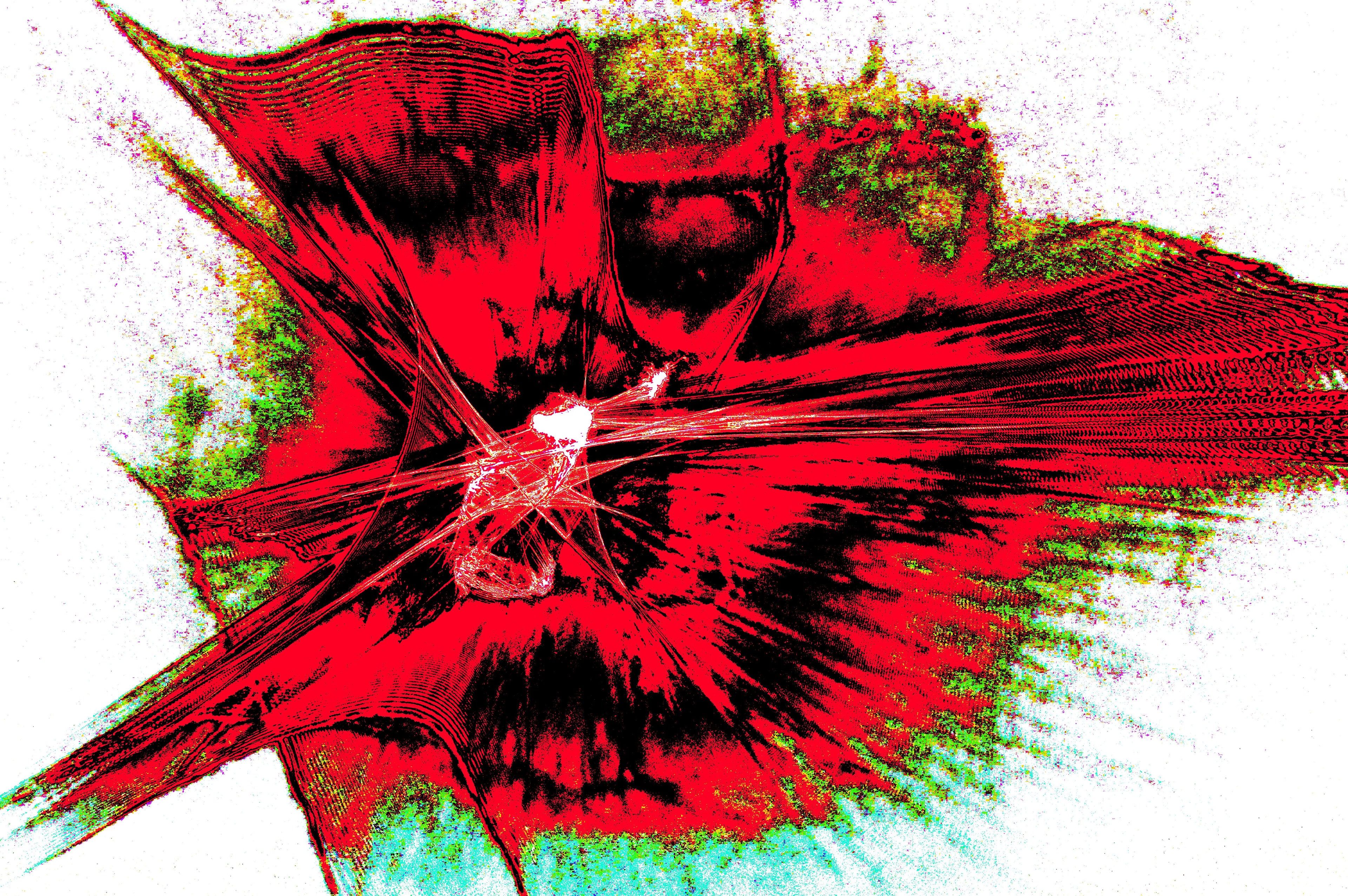 CRIMSON BURST — Premium Kunstprint