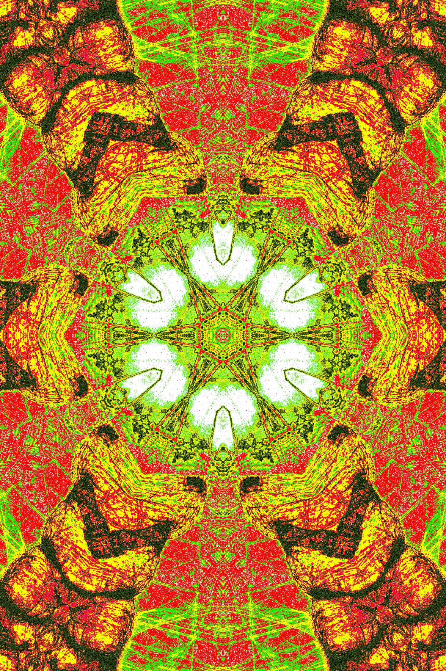 TROPISCHES KALEIDOSKOP — Premium Digitaler