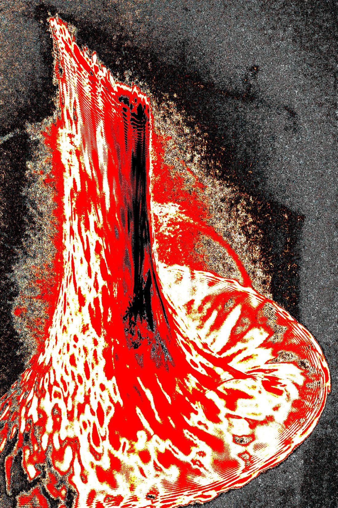 ORGANIC CRIMSON BLOOM — Premium Kunstprint