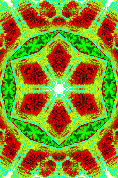 EMERALD POPPY KALEIDOSKOP — Premium Kunstprint
