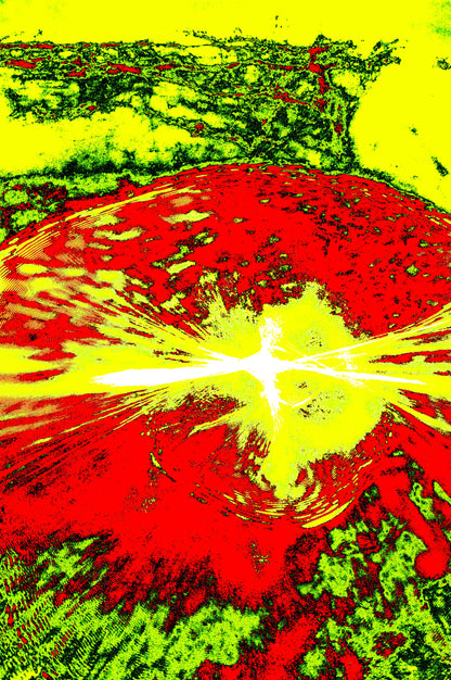 EXPLOSION VON PURPURSONNE — Premium Kunstprint