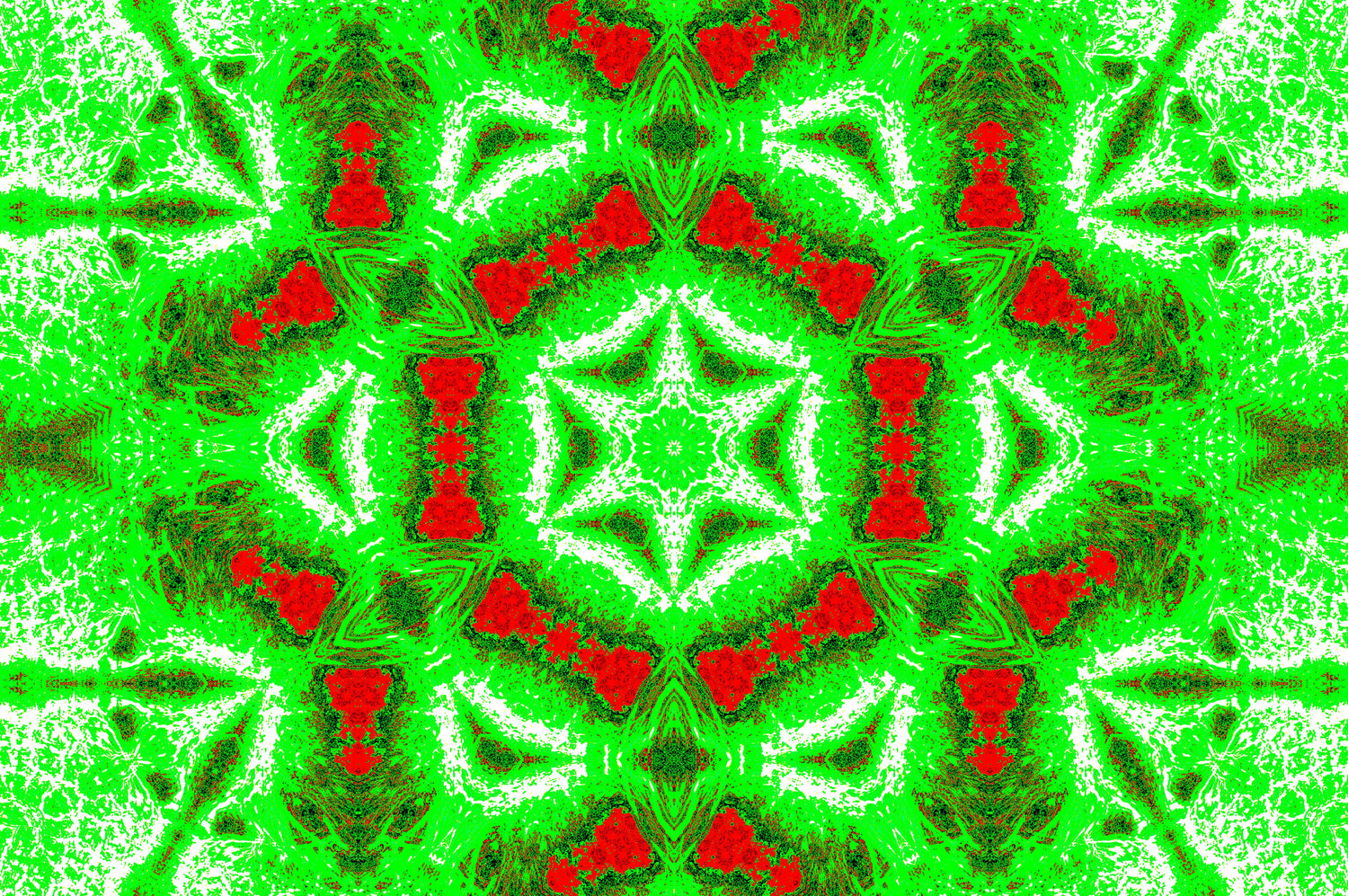 GREEN FERN STAR MANDALA — Digitaler Download