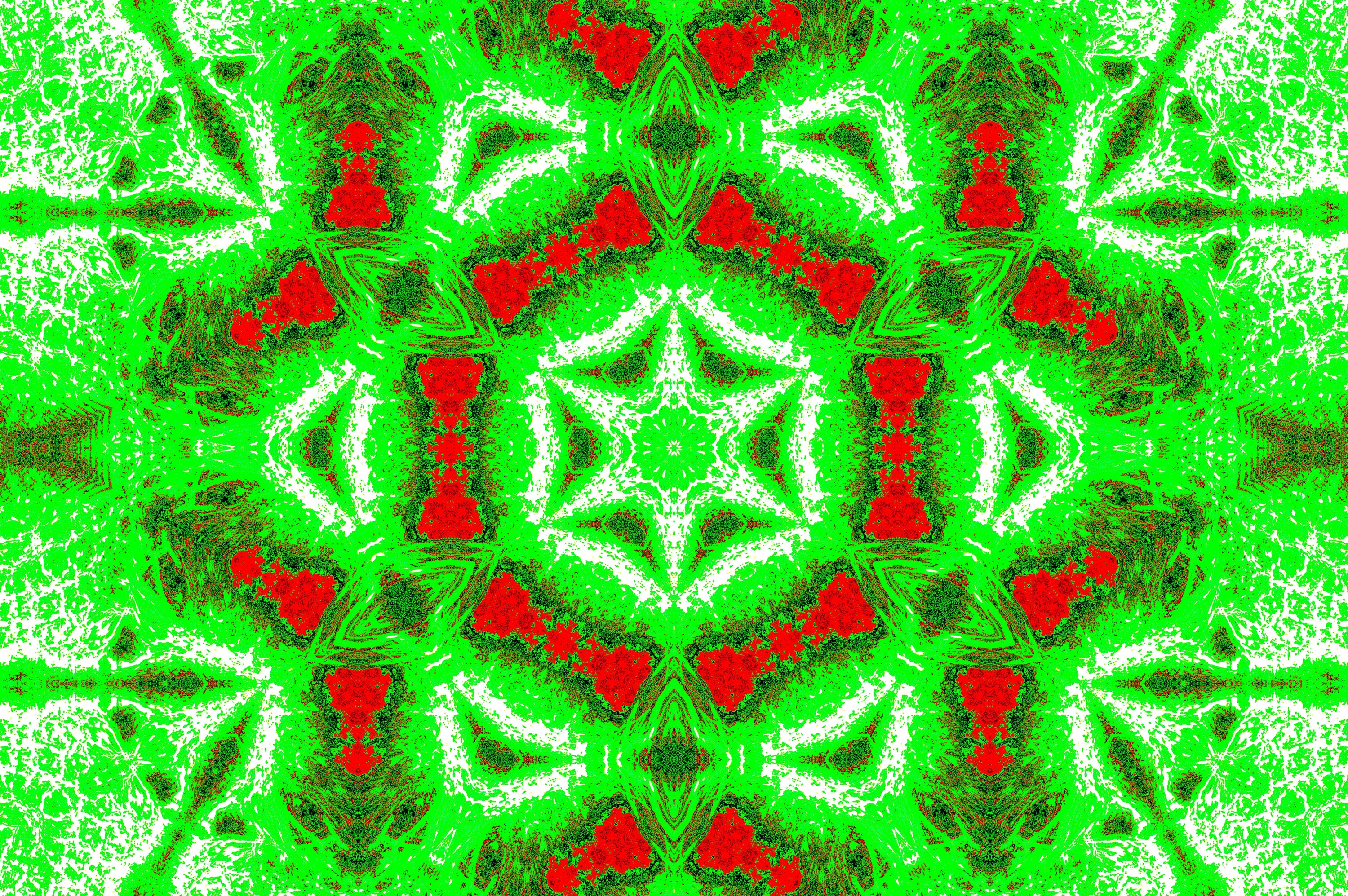 GREEN FERN STAR MANDALA — Digitaler Download