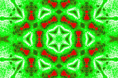 GREEN FERN STAR MANDALA — Digitaler Download