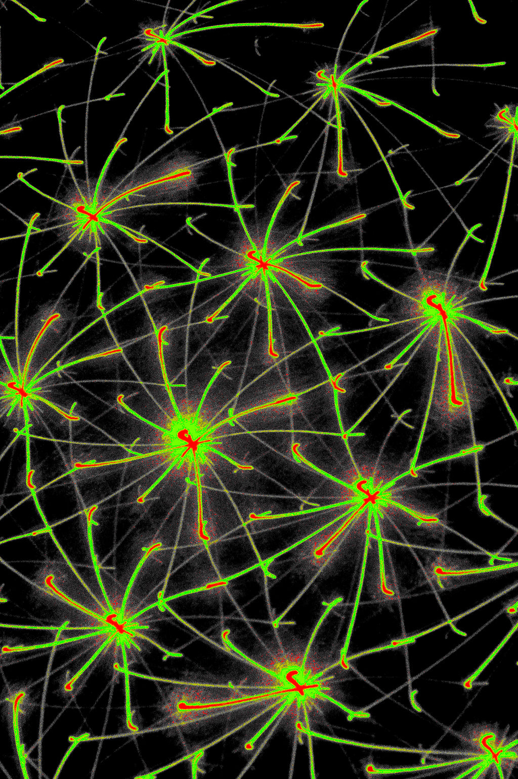 QUANTUM MATRIX — Digital Art for Download