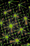 QUANTUM MATRIX — Premium Kunstprint