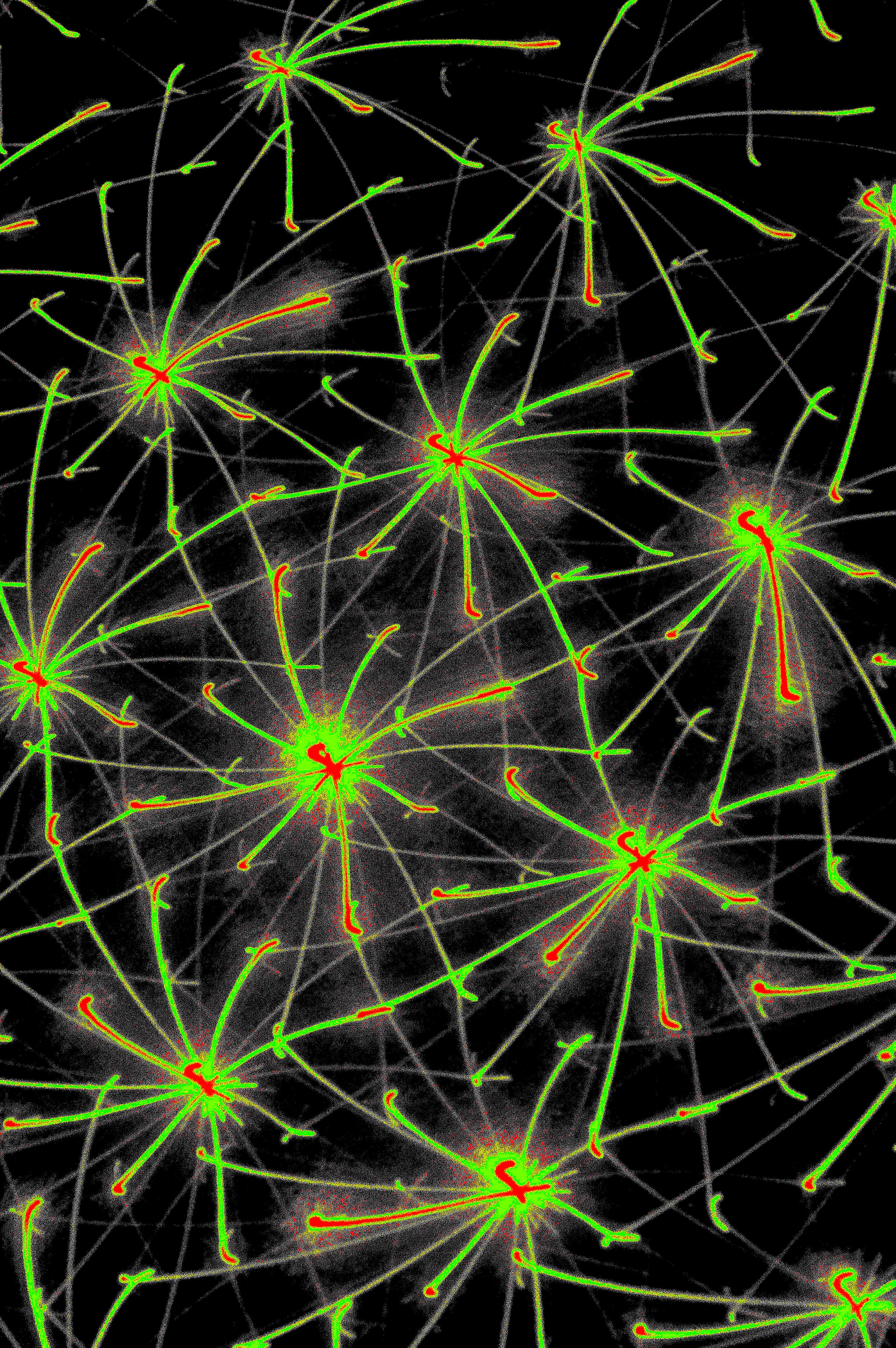 QUANTUM MATRIX — Digital Art for Download