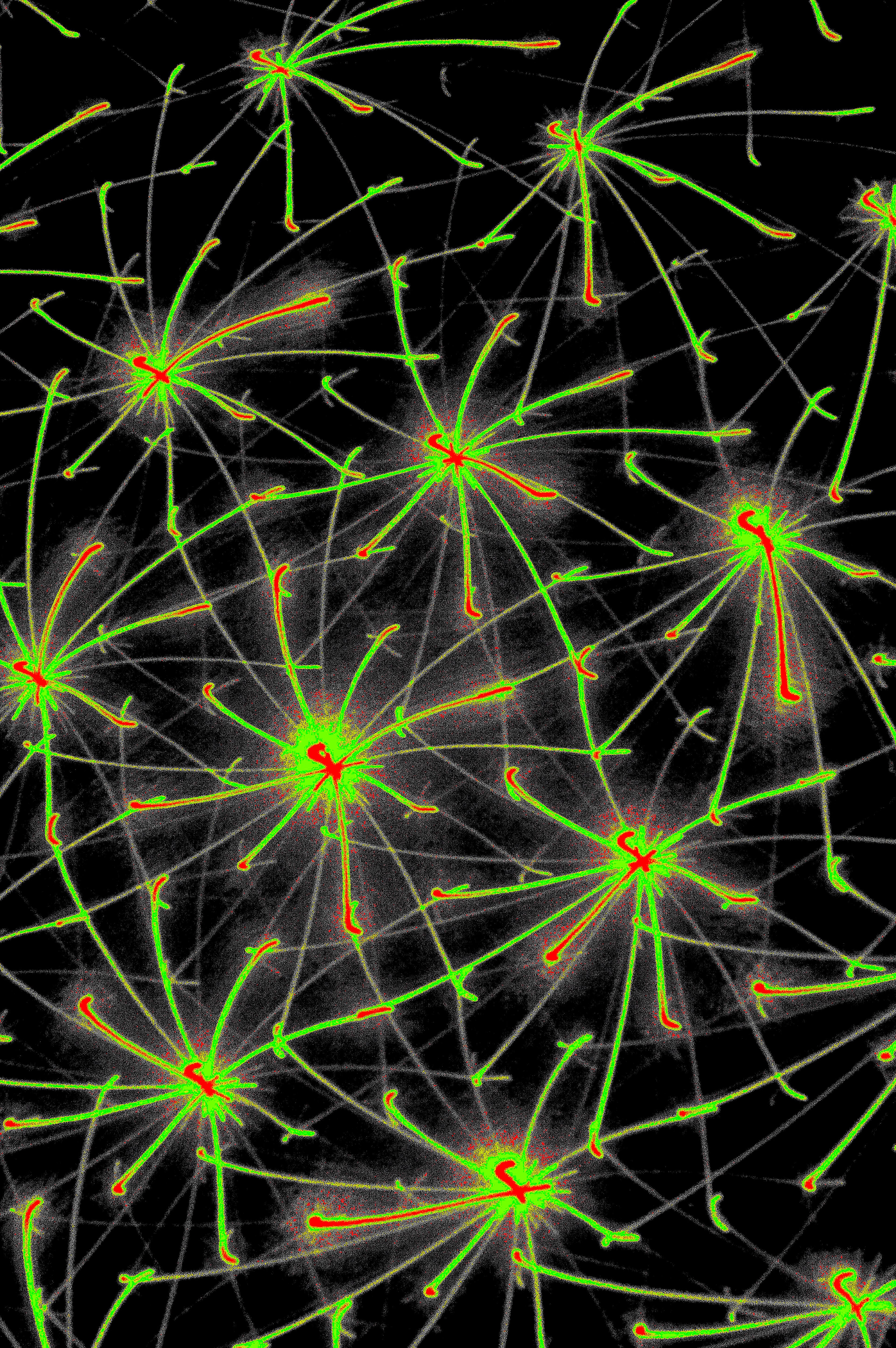 QUANTUM MATRIX — Premium Kunstprint