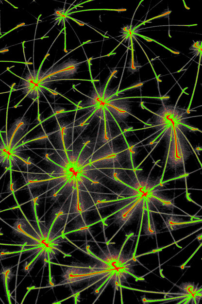 QUANTUM MATRIX — Digital Art for Download