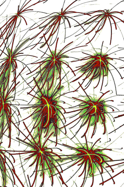 digitale Kunst CRIMSON THORN Download