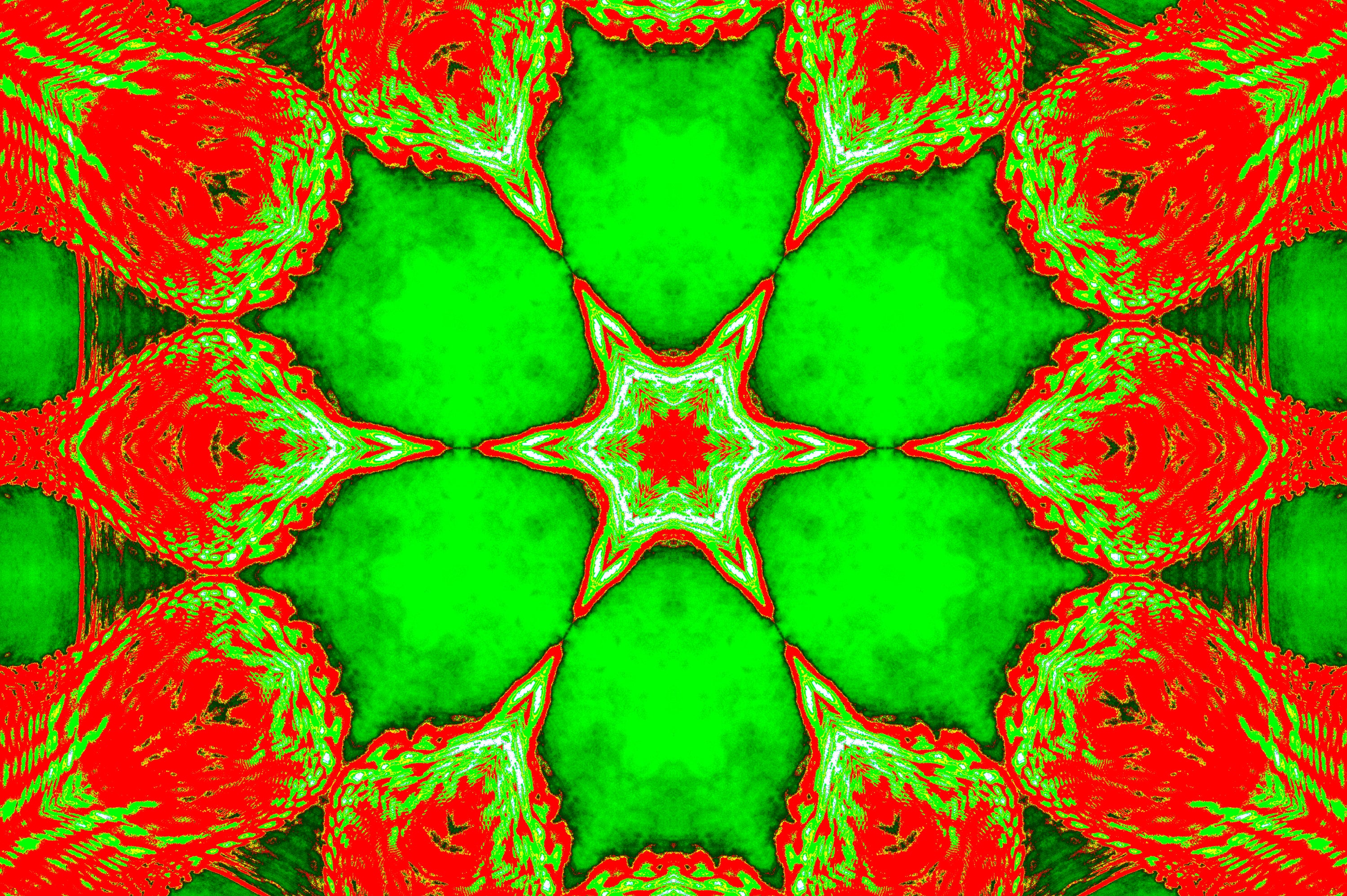 NEON FIRE BLOSSOM — Premium Kunstprint