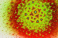 CELL BLOOM — Premium Kunstprint