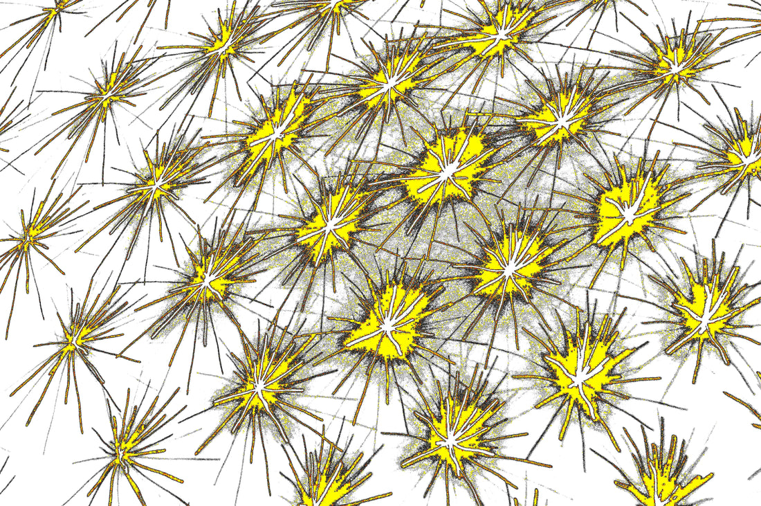 digitale Kunst Mikrokosmos Download