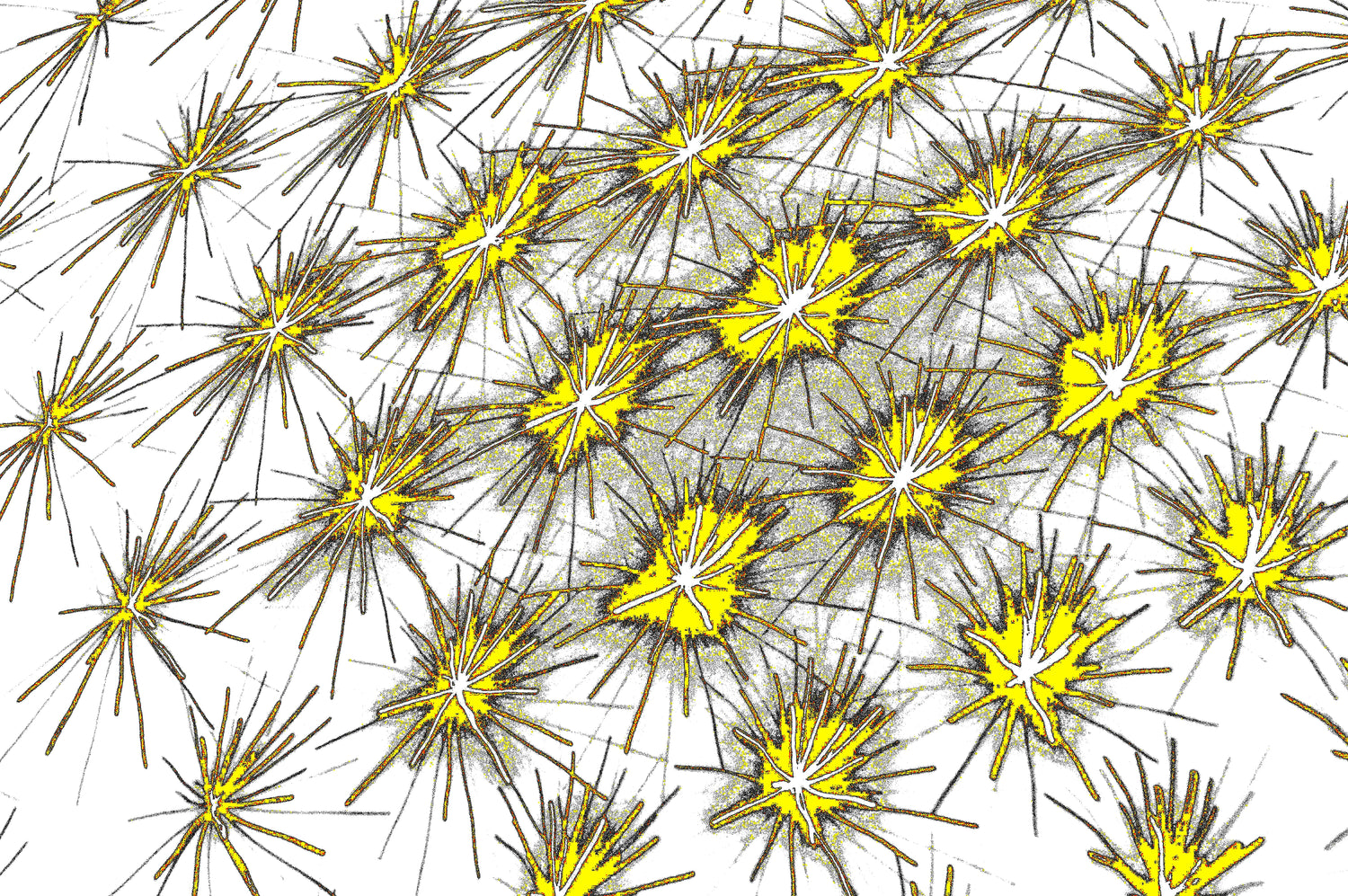 digitale Kunst Mikrokosmos Download
