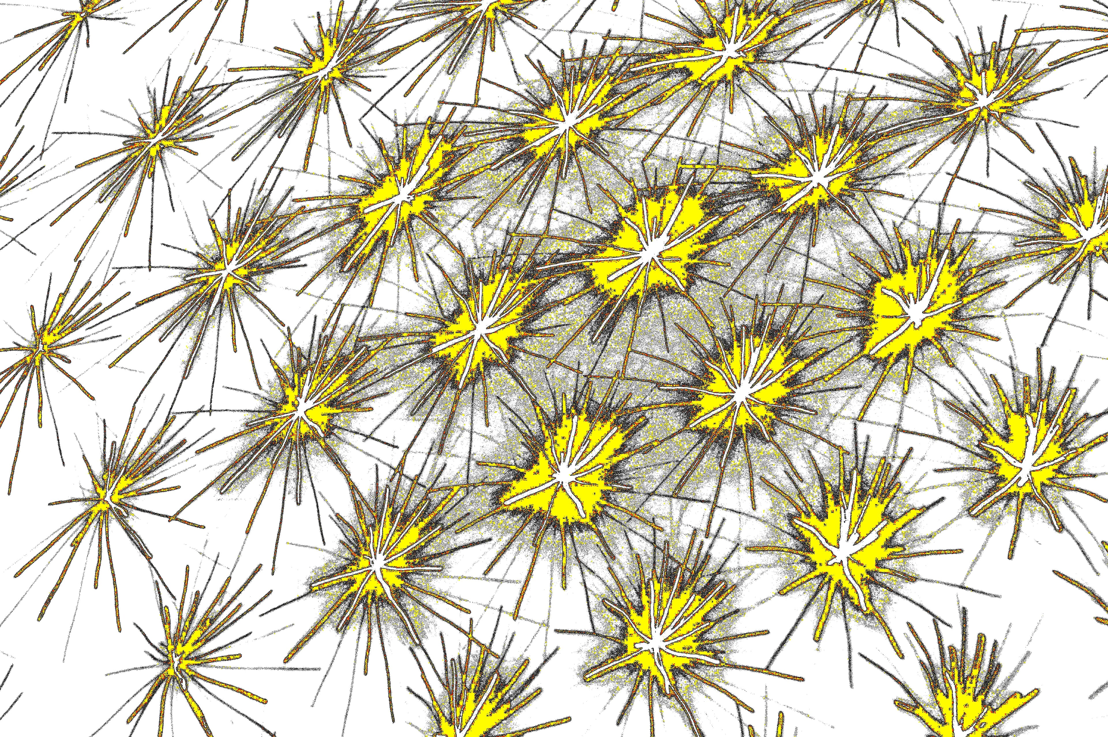 SPORE FIELD — Premium Kunstprint