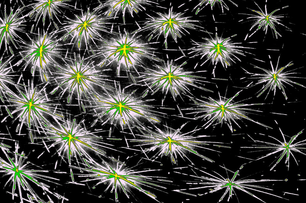 DARK SPORE — Premium Kunstprint