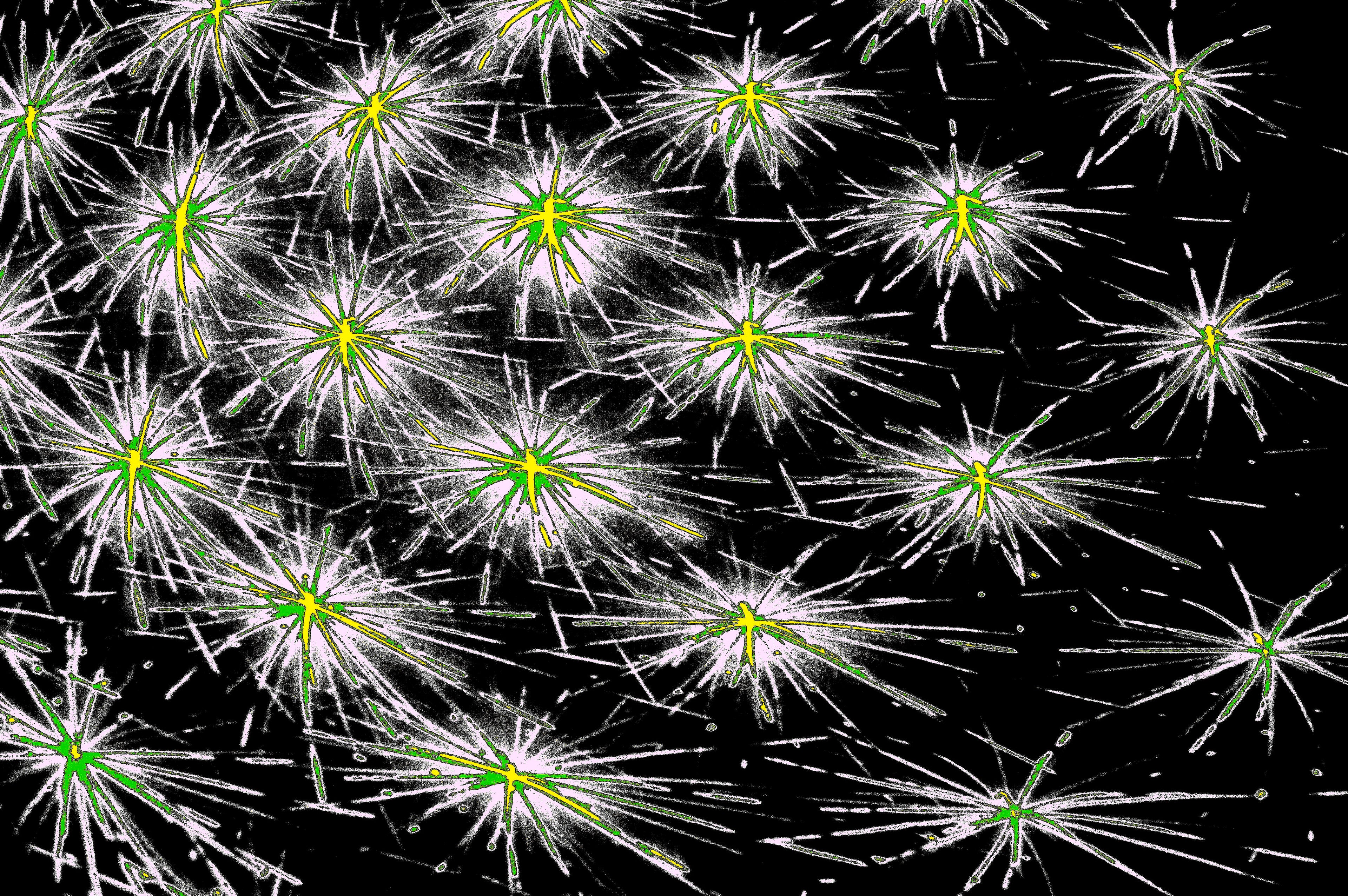 DARK SPORE — Premium Kunstprint