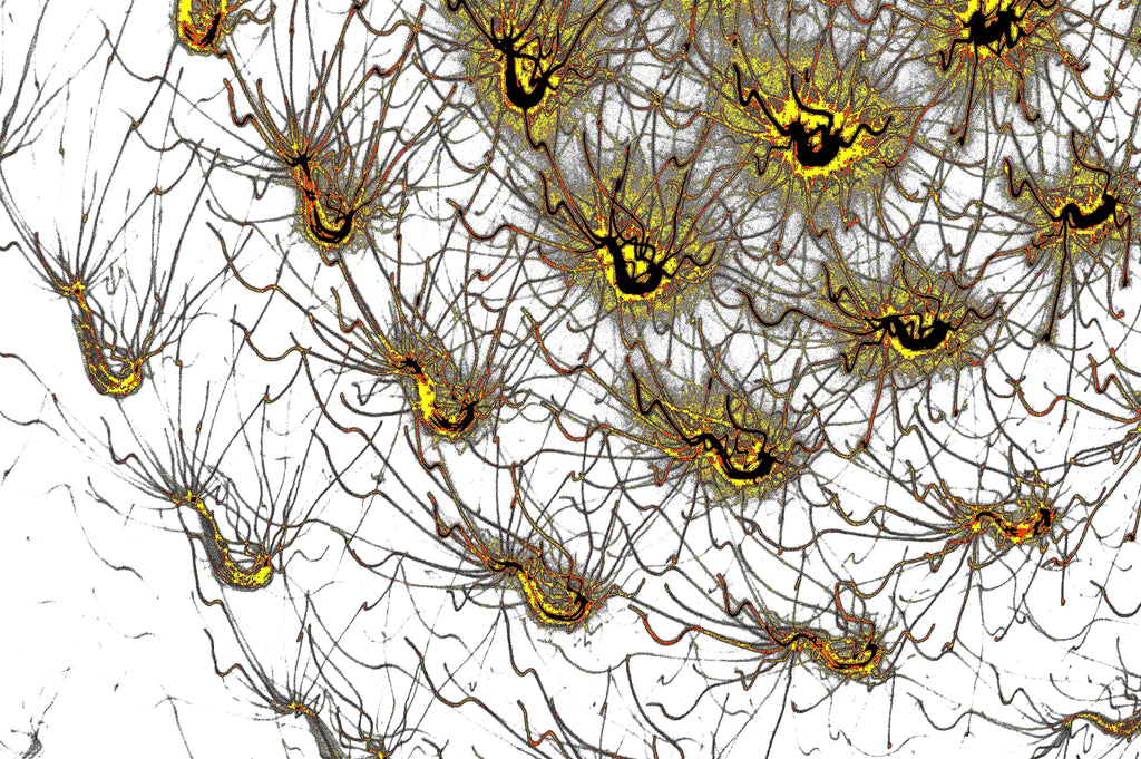 AMBER WEB — Premium Kunstprint