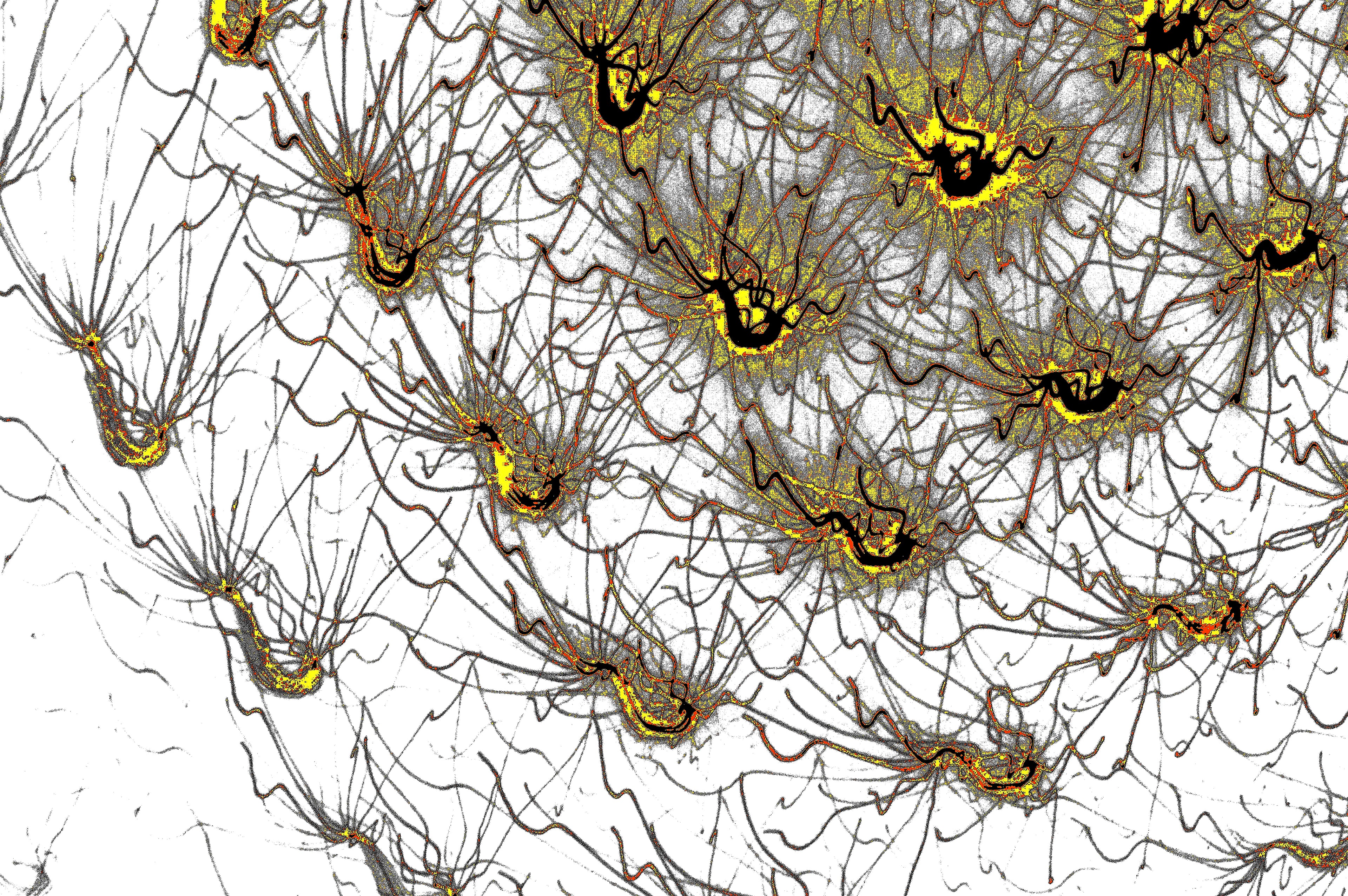 AMBER WEB — Premium Kunstprint