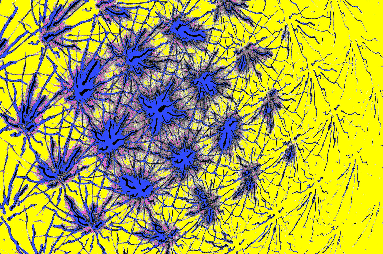 digitale psychedelische Kunst kaufen