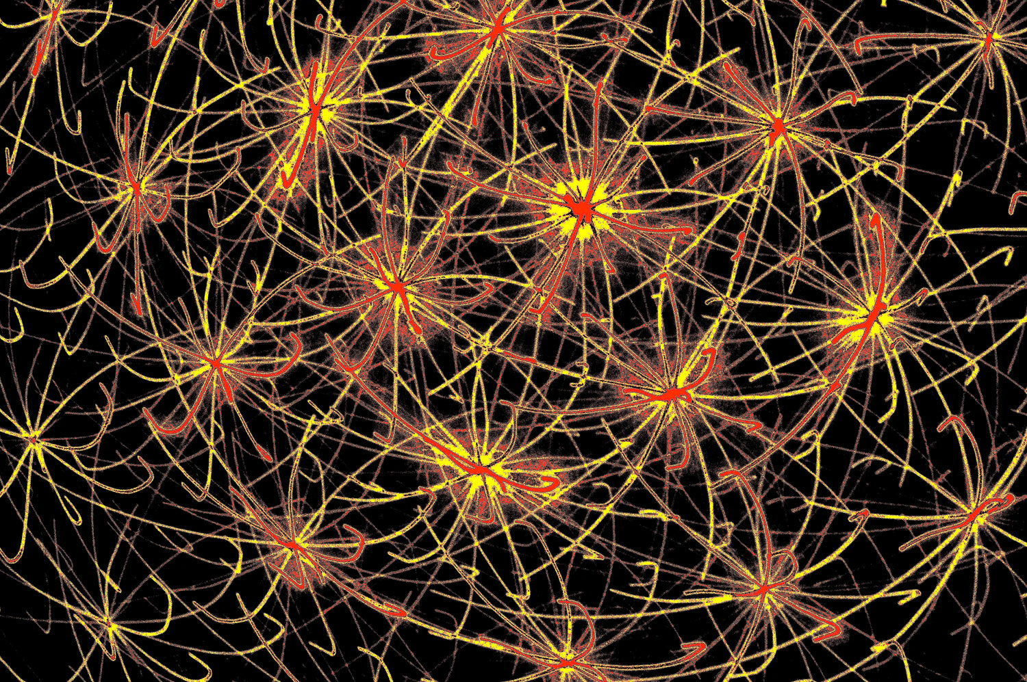 KOSMISCHE NEURONEN — digitaler-download