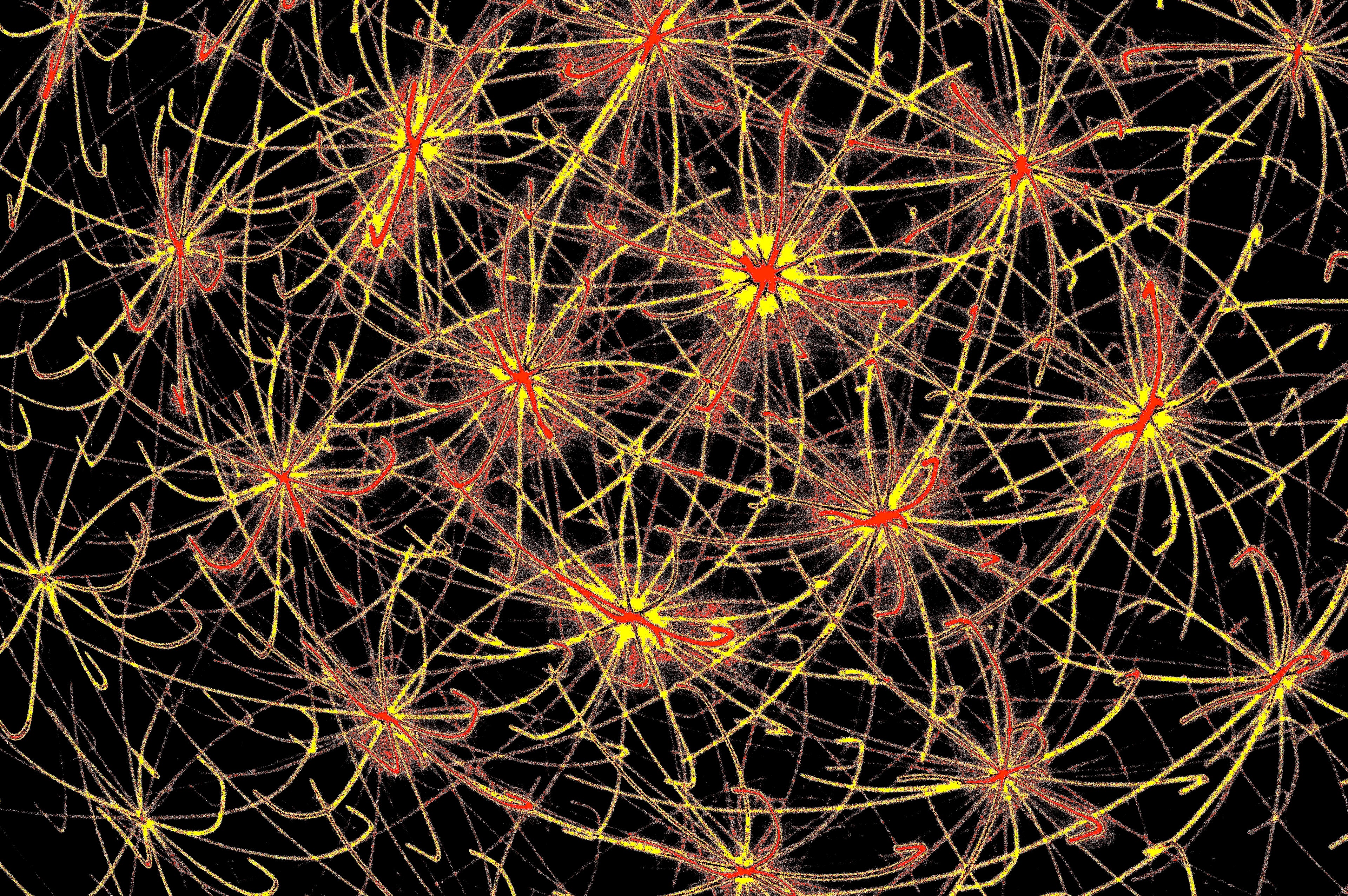 KOSMISCHE NEURONEN — digitaler-download