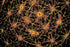 KOSMISCHE NEURONEN — digitaler-download
