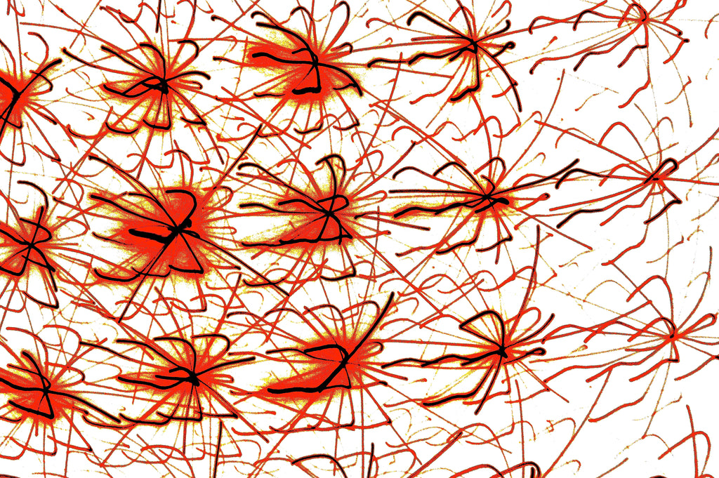 ROTE NEURONEN – Feine rote Neuronen-Äste und organische Strukturen auf weißem Hintergrund